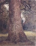 John Constable Study of the trunk of an elm tree USA oil painting artist